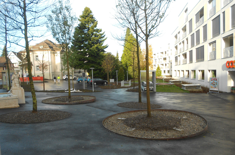 Carmel, Menzingen, Bepflanzung