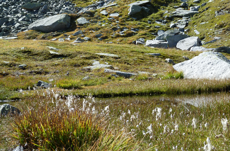 Ausflug 2011, Gotthard
