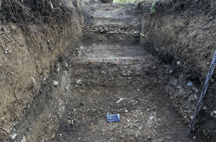 Schüssinsel Biel, archäologische Fundstätte