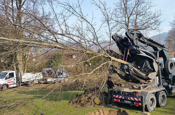 Schüssinsel Biel, Verpflanzung