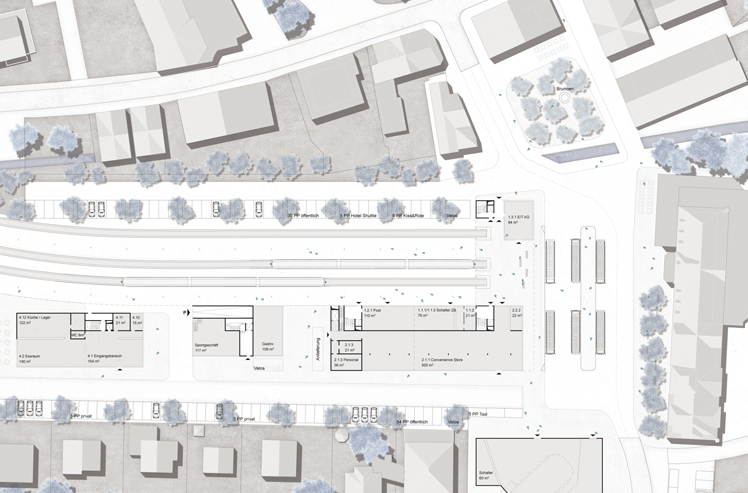Testplanung Bahnhof Engelberg, Zoom