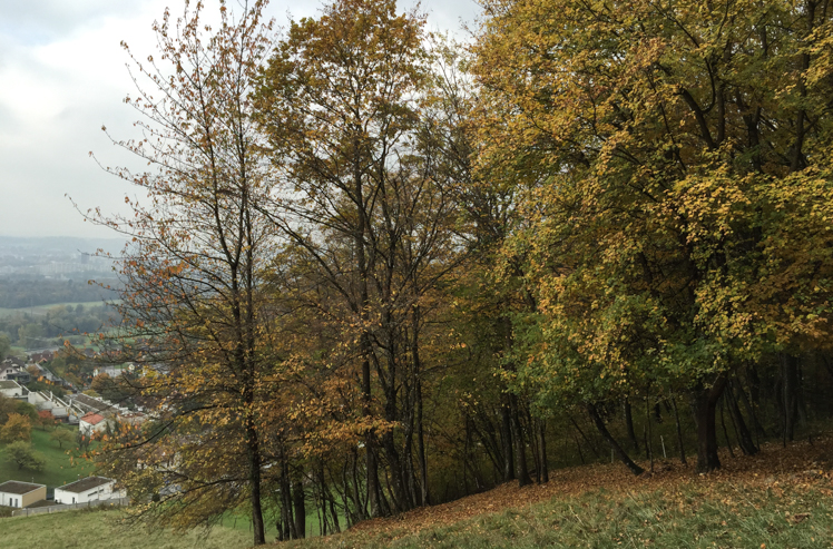 Büroausflug 2015 im Kanton Aargau