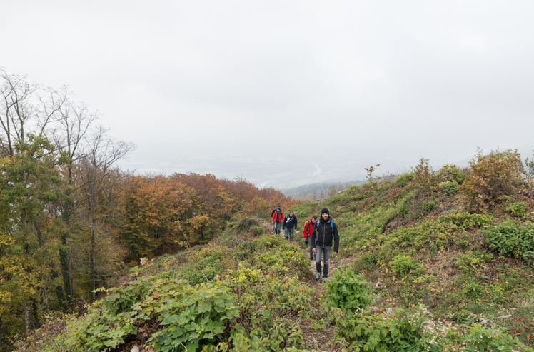 Büroausflug 2015 im Kanton Aargau