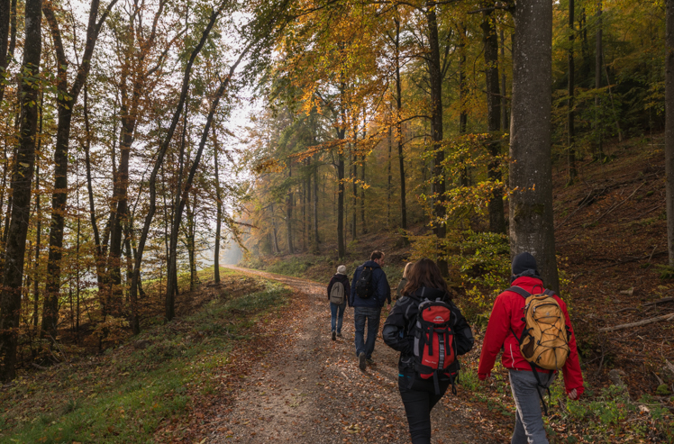 Büroausflug 2015 im Kanton Aargau