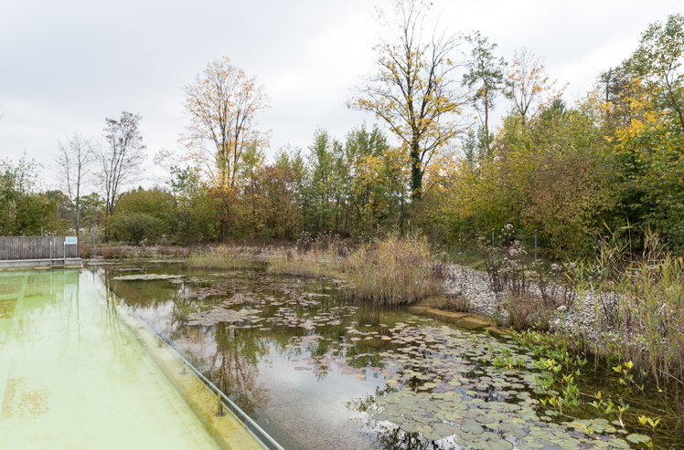 Büroausflug 2015 im Kanton Aargau, Naturbad bei Biberstein