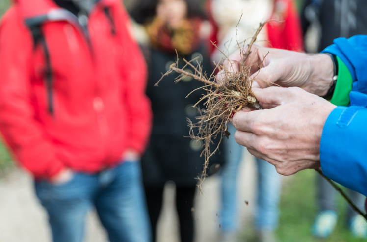 Büroausflug 2015 im Kanton Aargau