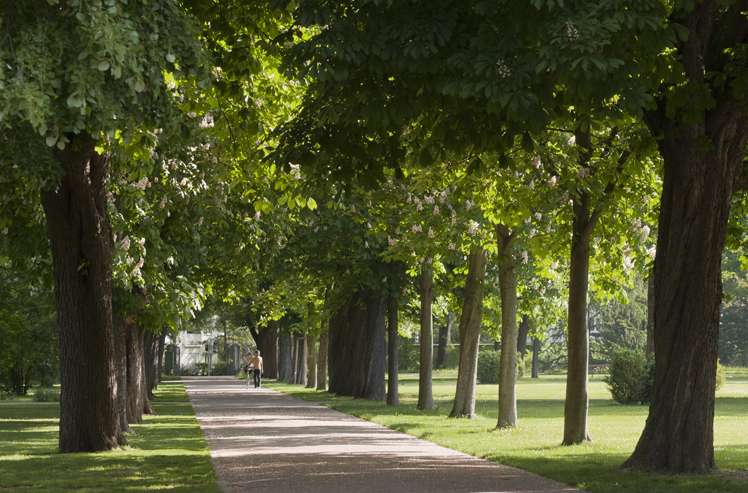 Kannenfeldpark Basel