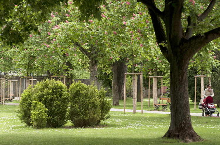 Kannenfeldpark Basel, Bepflanzung