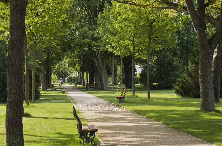 Kannenfeldpark Basel