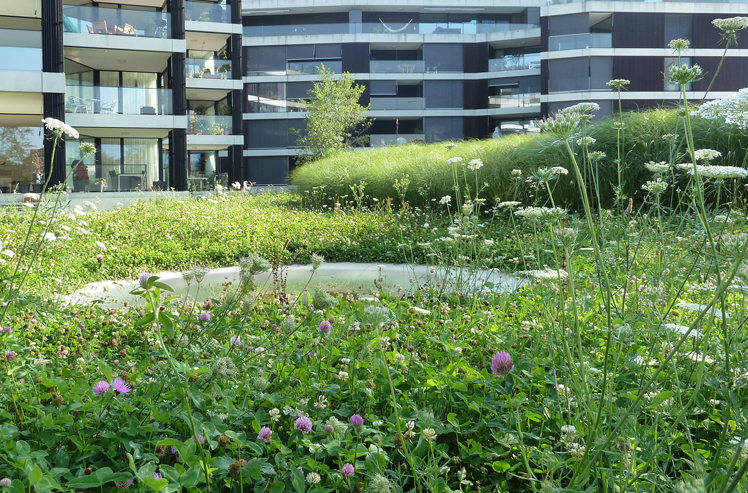 Wohnüberbauung Riedpark, Zug
