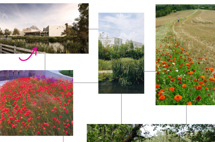 the swiss touch in landscape architecture 2012