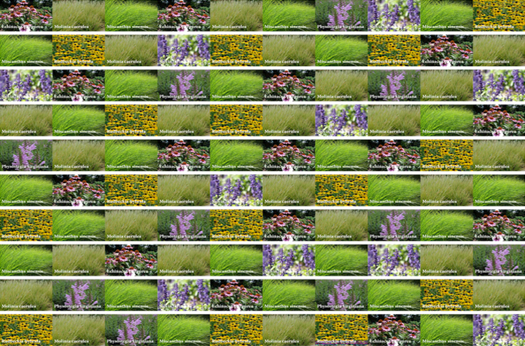206_sit_pflanz_60
