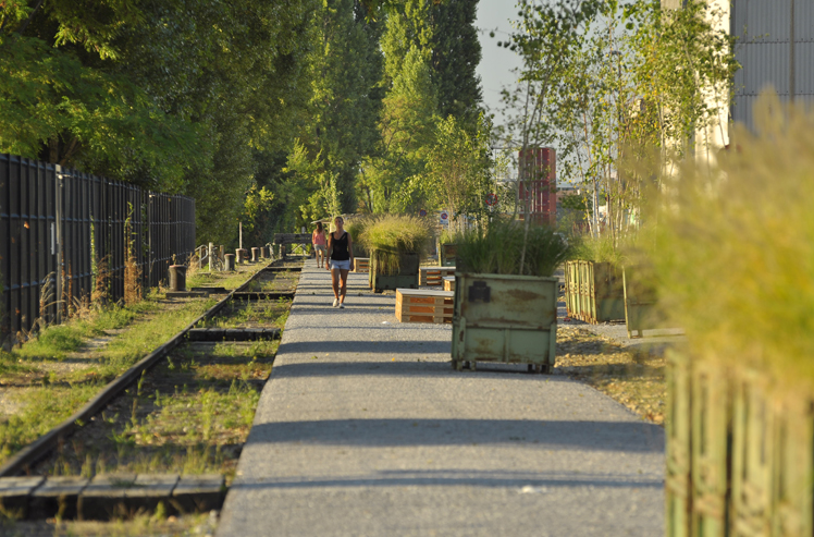 Klybeckquai, Bepflanzung