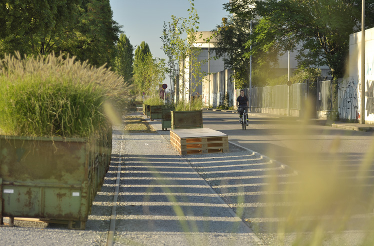 Klybeckquai, Bepflanzung