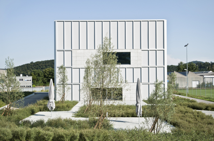 Nussbaum AG, Trimbach, Bepflanzung