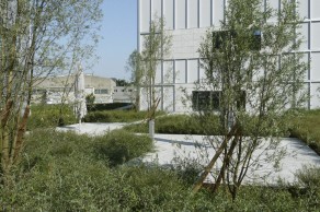 Nussbaum AG, Trimbach, Bepflanzung