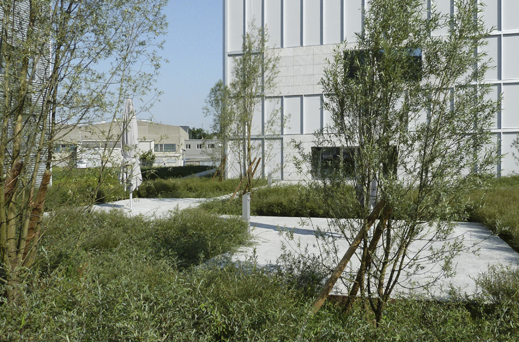 Nussbaum AG, Trimbach, Bepflanzung