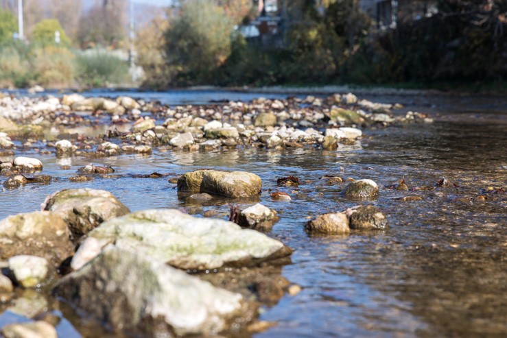 Schüssinsel Biel, Rohplanie und Wasserbau