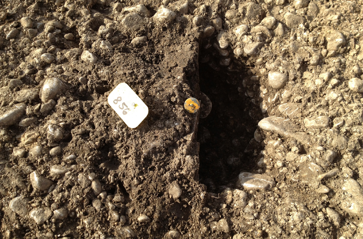 Archäologische Funde auf der Schüssinsel