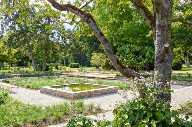 Fontana erneuert den Rosengarten im Kannenfeldpark Basel