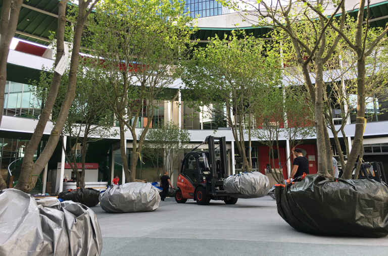 Art Basel – The Making of