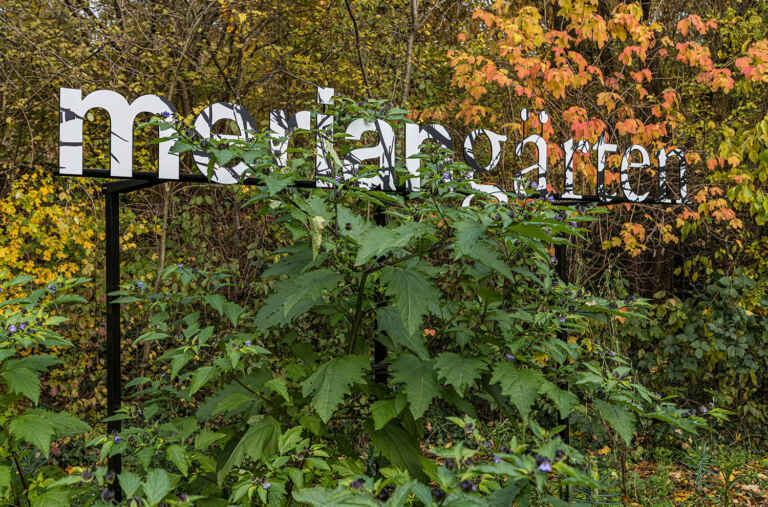 Führungen von Massimo Fontana in den Merian Gärten