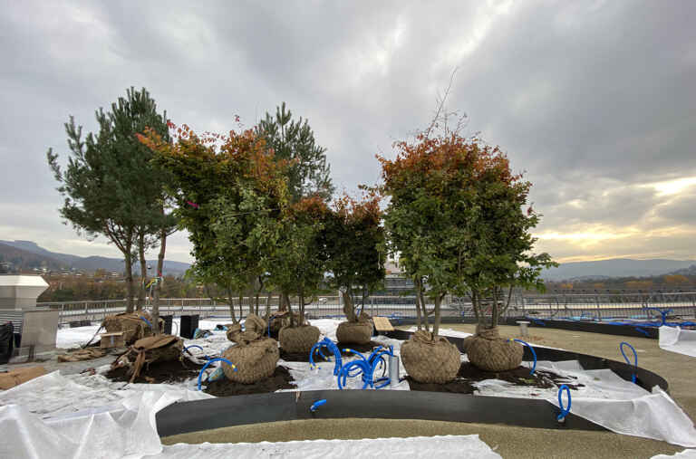 Ein Dachgarten im Industrieformat