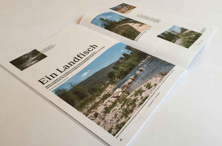 Stadtwanderer Loderer auf der Schüssinsel